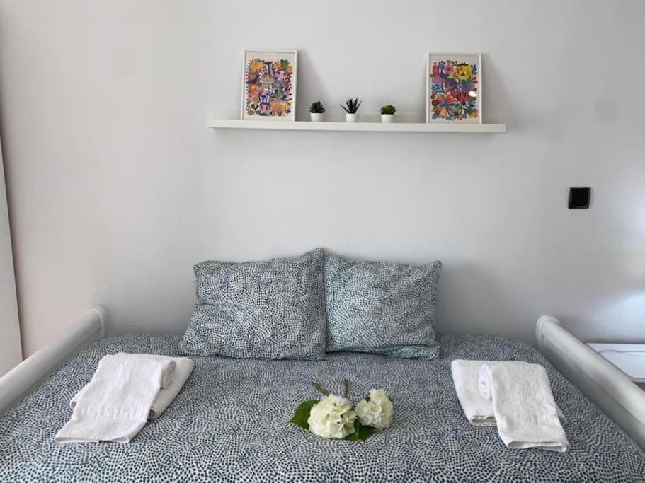 Apartamento Soltova Casar de Cáceres Eksteriør bilde